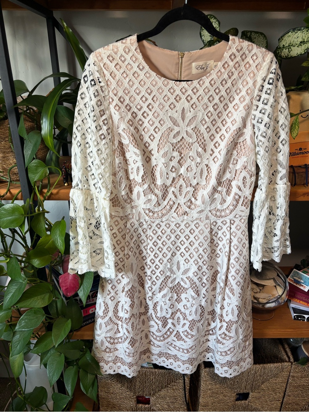 ELIZA J Bell Sleeve Lace Fit & Flare Dress In Ivory | Size 8 - Picture 2 of 8